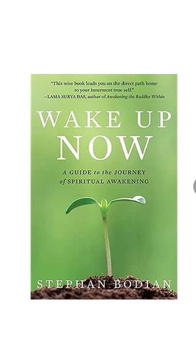Wakeup Now by Stephan Bodian (E-book)
