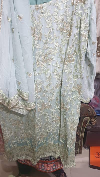 Beautiful Light Green Embroidered Suit – Gently Used