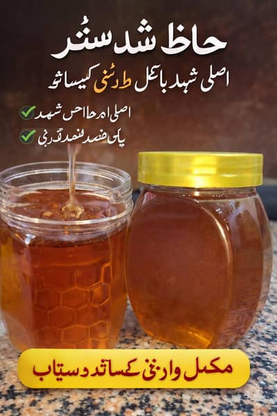 Electric, Gas , Geyser