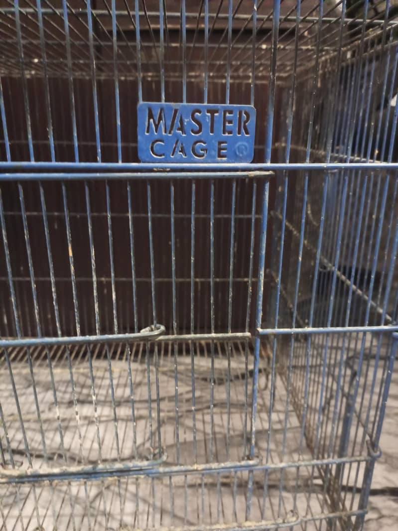 master cage 4