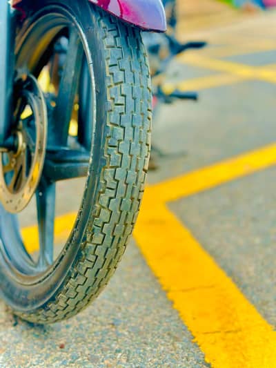 call 03102123826 watapp 03053945829