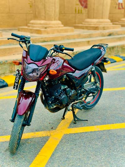 call 03102123826 watapp 03053945829