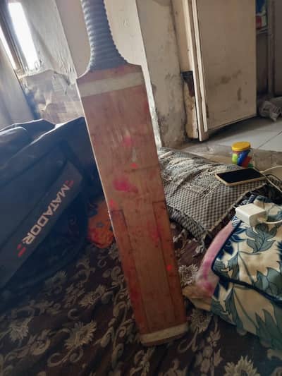 complete cricket kit