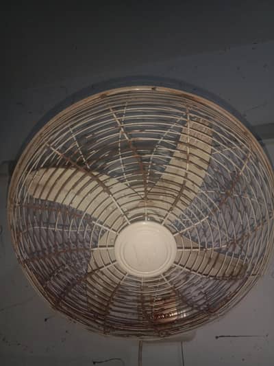 free ha is waja sa sale kr raha