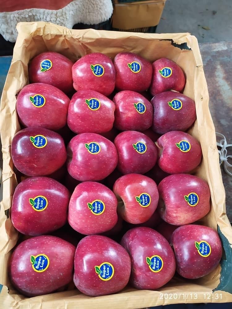 Fresh irani Apple imported 0