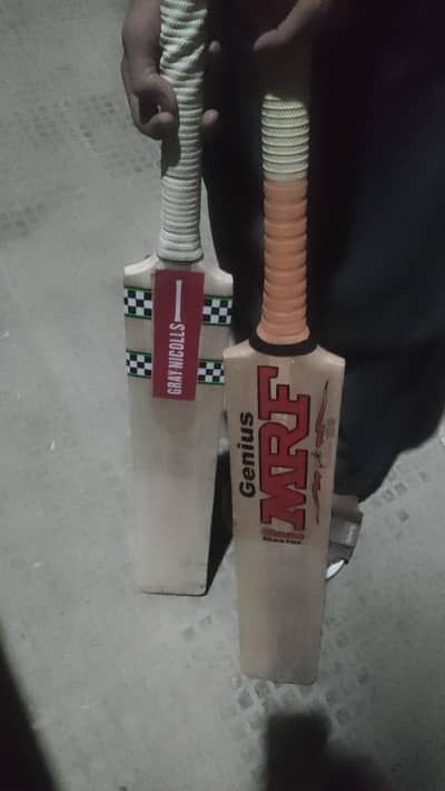 cricket bat