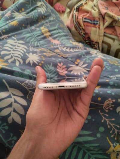 Iphone 8 pta approved