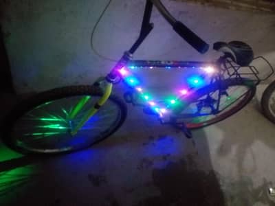 Phoenix cycle purple colour