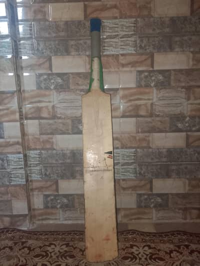 bat hai vip condition