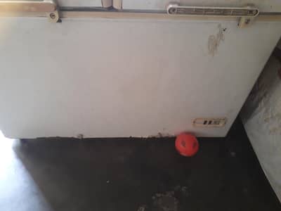 Dqawlance deepfreezer