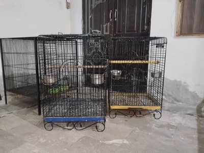 All cages and box for sale 03217242445 call