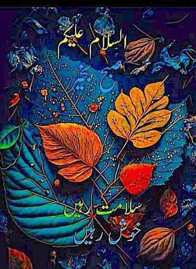 M Kamran RAJPUT