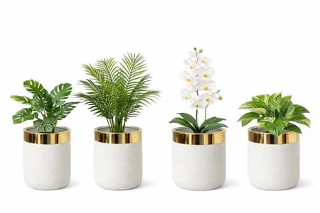 Decoration pot available