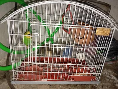 ak tota ha bas or pinjra bhi  Doli bhi ha