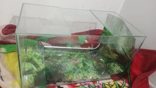 aquarium good condition