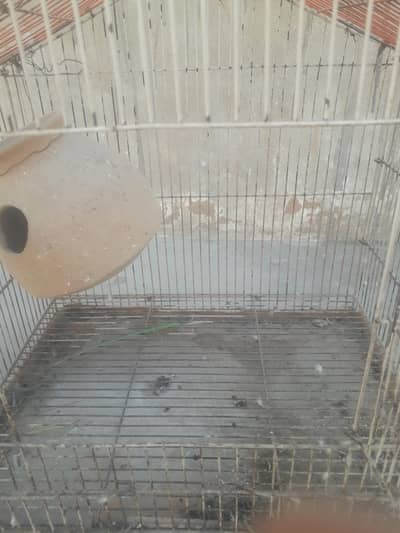 medium size birds cage
