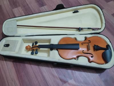 Professional Violin with Hard case