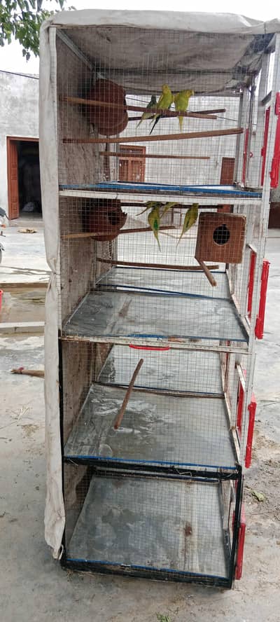 cage for sale 14 toty ha Andy bachy deye howy ha