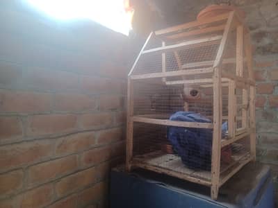 birds cage wooden cage big cage