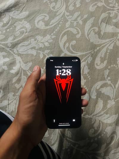 iphone x PTA approved