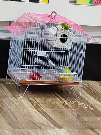 2 budgies and a dove