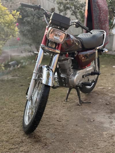 Honda 125 model 2024 shape 2025