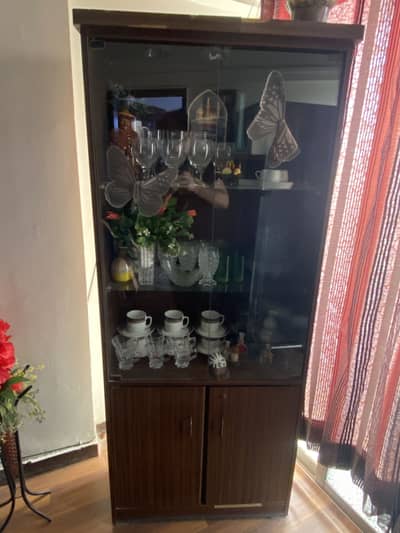 Glass Door And Wood Shelve