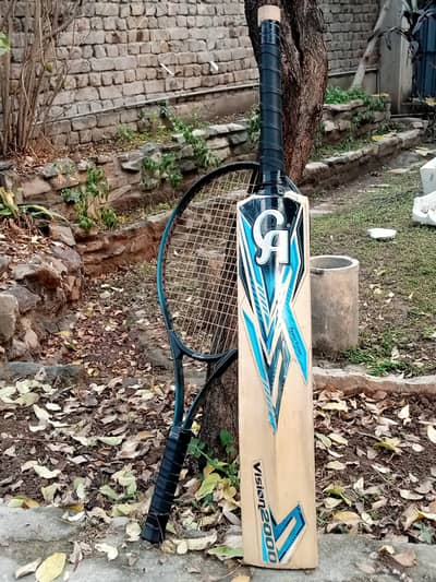 Tennis ball bat and tennis racket