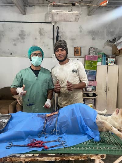 Qaiser good handler and good growmer with docter