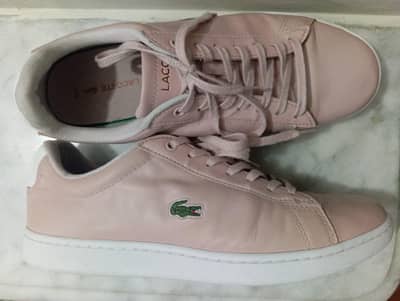 Lacoste Sneakers  (Original)