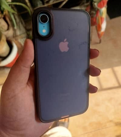 iPhone XR PTA APPROVED