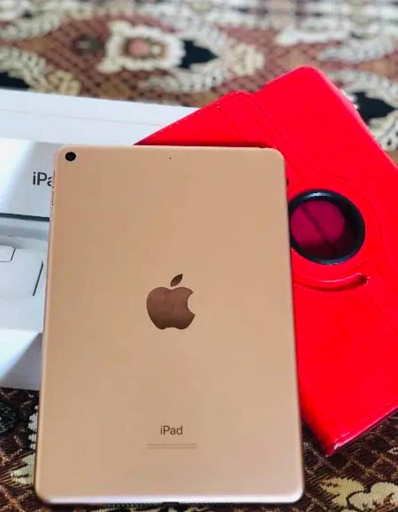 iPad Mini 5 0