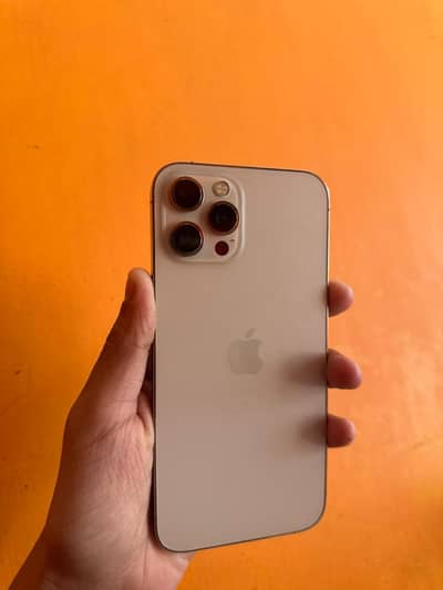 12 pro max sim working 256GB