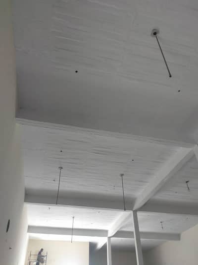 2 Kanal Single Story Factory For Rent