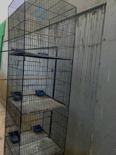 Black Cage 4th Portuon