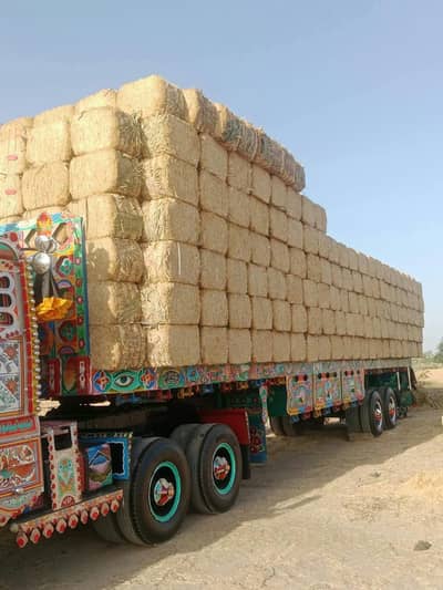 Bossa for sale/Bossa /cow food/ بھوسہ