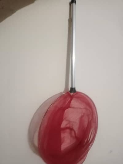 stainless steel  fish net