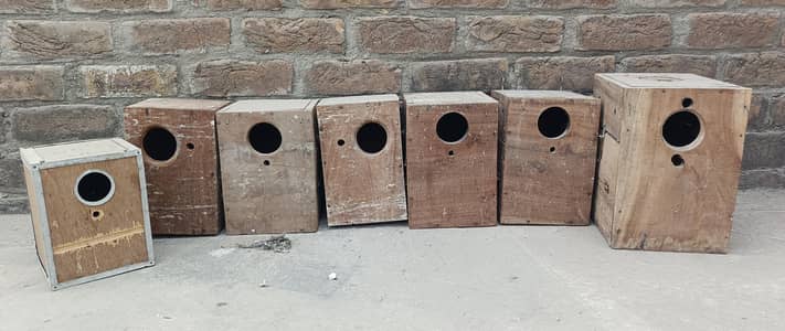 Parrots Breed Boxes For Sale