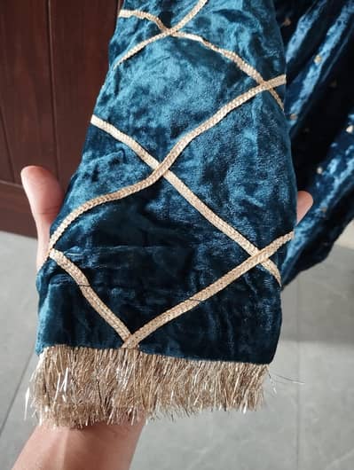 brand new velvet dress