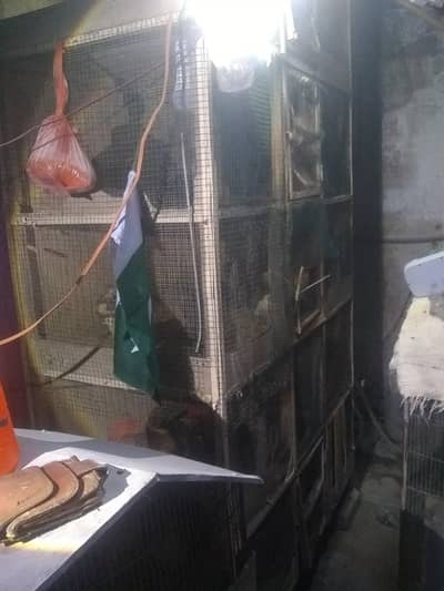 wood cage urjent sell