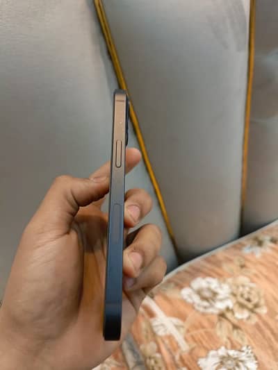 iPhone 13 pta proved