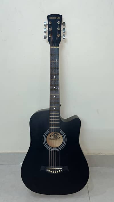 New Acoustic Guitar with Bag and accessories