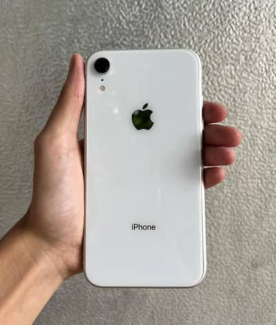 iPhone XR 128GB PTA Approved
