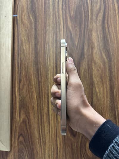 I am selling iphone 12 pro max Pta (03310006416)