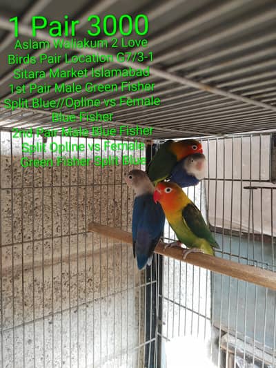 location G7/3-1 Islamabad