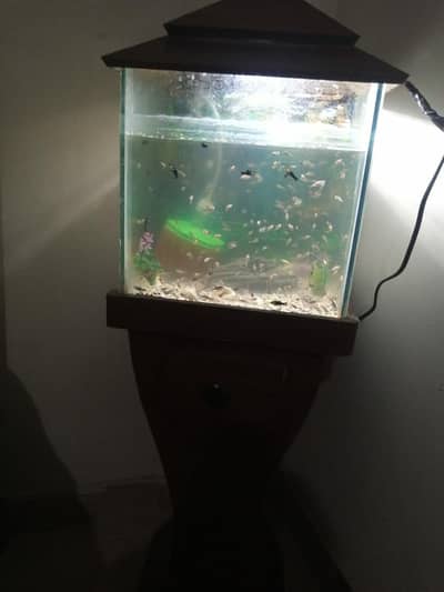 aquarium for sale best for home