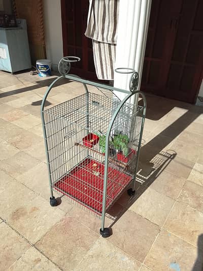 Fancy cage heavy wire 10 number for Parrot