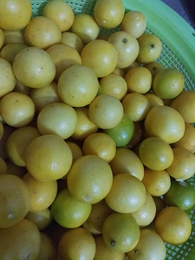 fresh lemon for achar 0