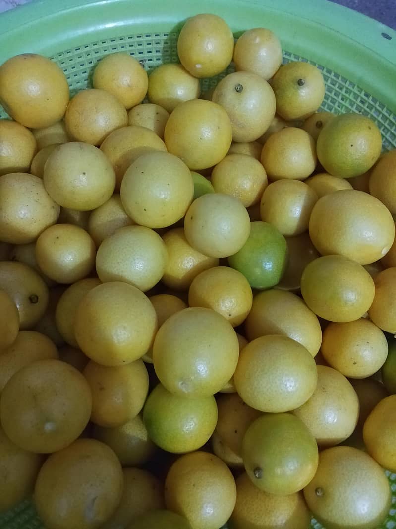 fresh lemon for achar 1