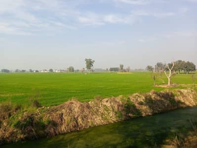 Gharelo kaamo kay liay family kee zaroorat